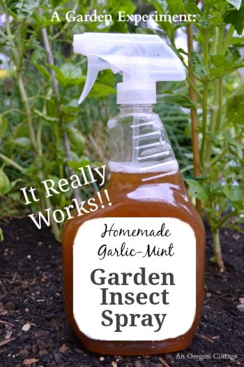 Must-Know Gardening Hacks for Beginners - Bless My Weeds| Gardening for Beginners, Gardening Hacks, Gardening Ideas, Garden Ideas, Front Garden Ideas, Garden Design, Garden Design Ideas