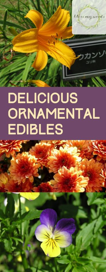 Delicious Ornamental Edibles - Bless My Weeds| Ornamental Edibles, Ornamental Edible Plants, Flower Garden Ideas, Gardening for Beginners, Garden Ideas, Edible Garden Ideas 