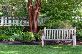 front yard landscape ideas, ideas for front yard landscape, DIY front yard landscape, DIY front yard landscape ideas, 