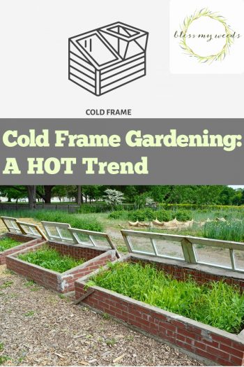 Cold Frame Gardening | DIY Cold Frame Garden | Winter Gardening | Gardening | Gardening Tips and Tricks 