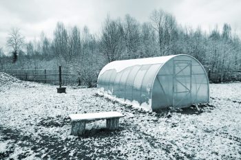 Cold Frame Gardening | DIY Cold Frame Garden | Winter Gardening | Gardening | Gardening Tips and Tricks 