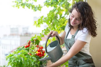 How to Grow Tomatoes in Containers | Grow Tomatoes in Containers | How to Grow Tomatoes | Tomatoes | Growing Tomatoes: Tips and Tricks | Garden Hacks | Garden Tips and Tricks 