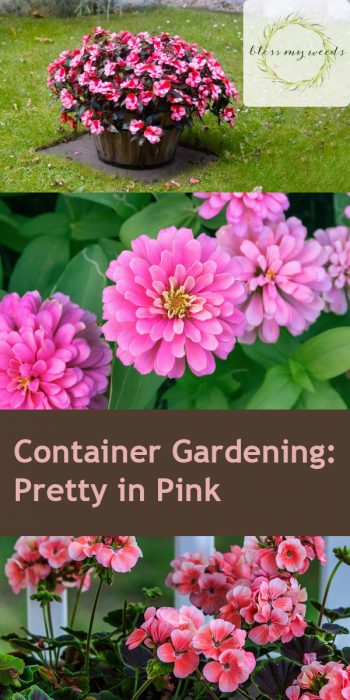 Container Gardening | Pretty in Pink Flower Gardens | Pretty in Pink Flowers | Container Gardening Tips and Tricks | Container Gardens | Container Gardens: Flowers 