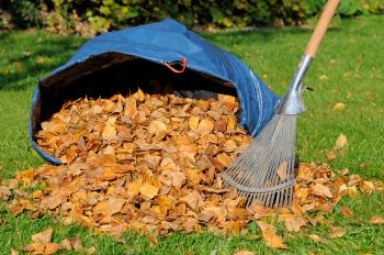 Fall Cleanup | Fall Leaves | Fall Leaf Cleanup | Fall Leaves Cleanup Tips and Tricks | Fall | Autumn | Fall Cleanup Hacks 