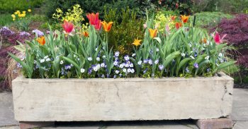 Container Gardening | Rectangular Containers | Container Gardening Tips | Rectangular Container Gardening | Rectangular Container Gardens | Rectangular Container Gardening Tips