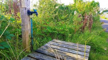 Pallet Garden Organizer | Pallet Organizer | Pallet Garden Organizer | How to Build a Garden Pallet Organizer | Pallet | Pallet Projects