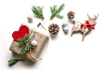 Evergreens | Gifts Adorned with Evergreens | Gift Wrapped with Evergreens | Evergreen Gifts | Gifts with Evergreens | Evergreen Decor | Evergreen Decorations | Evergreen Tips and Tricks 