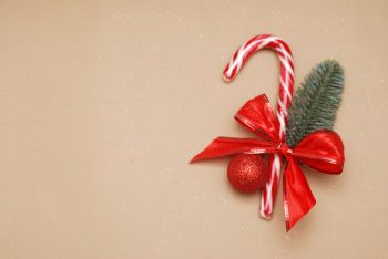 Evergreens | Gifts Adorned with Evergreens | Gift Wrapped with Evergreens | Evergreen Gifts | Gifts with Evergreens | Evergreen Decor | Evergreen Decorations | Evergreen Tips and Tricks 