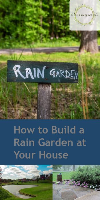 Rain Garden | DIY Rain Garden | Build Your Own Rain Garden | Rain Garden Tutorial | How to Build a Rain Garden | Rain Garden Tips and Tricks