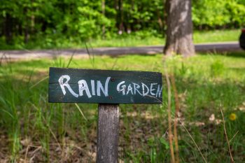 Rain Garden | DIY Rain Garden | Build Your Own Rain Garden | Rain Garden Tutorial | How to Build a Rain Garden | Rain Garden Tips and Tricks