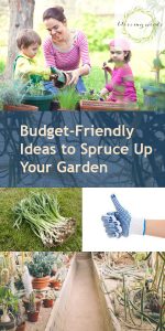 Budget-Friendly Ideas to Spruce Up Your Garden ~ Bless My Weeds