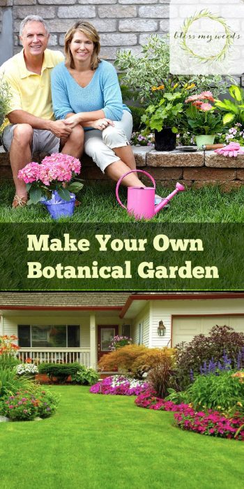 Botanical Garden | Make Your Own Botanical Garden | DIY Botanical Garden | Steps to Grow Your Own Botanical Garden | Botanical Garden Tips and Tricks