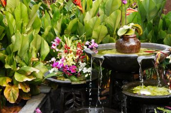 Feng Shui Garden | Feng Shui Garden Design Ideas | Feng Shui Garden Design Tips and Tricks | Garden Design | Garden Design Ideas 