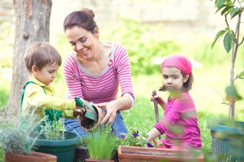 Budget-Friendly Gardening | Budget-Friendly Ideas | Budgeting for the Garden | Gardening on a Budget | Garden Budget Ideas | Gardens | Gardening Tips and Tricks