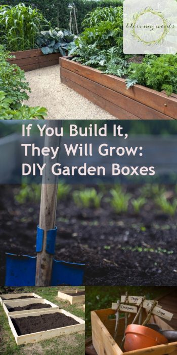 If You Build It They Will Grow: DIY Garden Boxes ~ Bless My Weeds