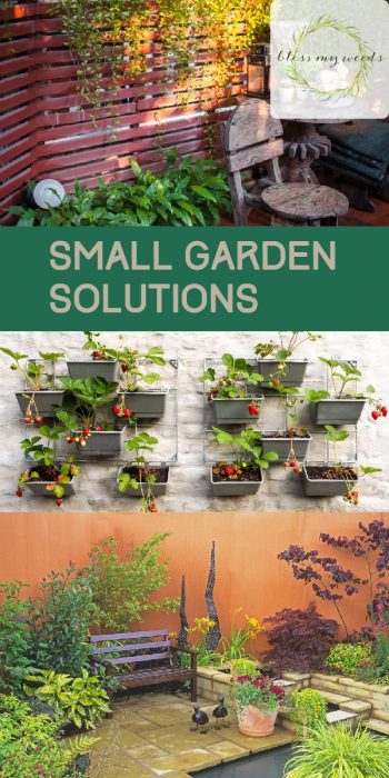 Small Garden Solutions | Small Gardens | Small Garden | Small Garden Ideas | Small Garden Solution Ideas | Utilize Space in a Small Garden | Utilize Space