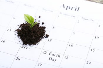 planting calendar | gardening | flower beds | garden beds | harvest