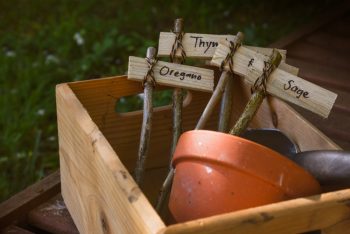 If You Build It They Will Grow: DIY Garden Boxes ~ Bless My Weeds