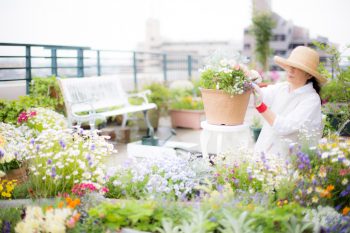rooftop gardening | rooftop gardening tips | rooftop garden | garden | rooftop | gardening | tips and tricks | gardening tips 
