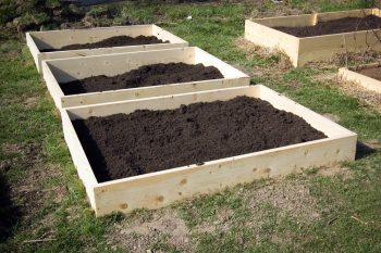 DIY Garden Boxes | DIY Garden | Gardening | Raised Garden | Garden Box
