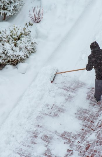 sweeping snow | snow | garden | snowfall | sweep your snow | when to sweep snow | gardening tips | winter | winter gardening 