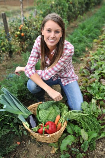 short growing season | vegetables | vegetables for a short growing season | growing season | veggies | garden | vegetable garden 