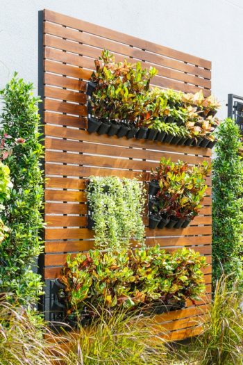 Vertical Gardening: How A Wallflower Could Be The Star Of Your Garden