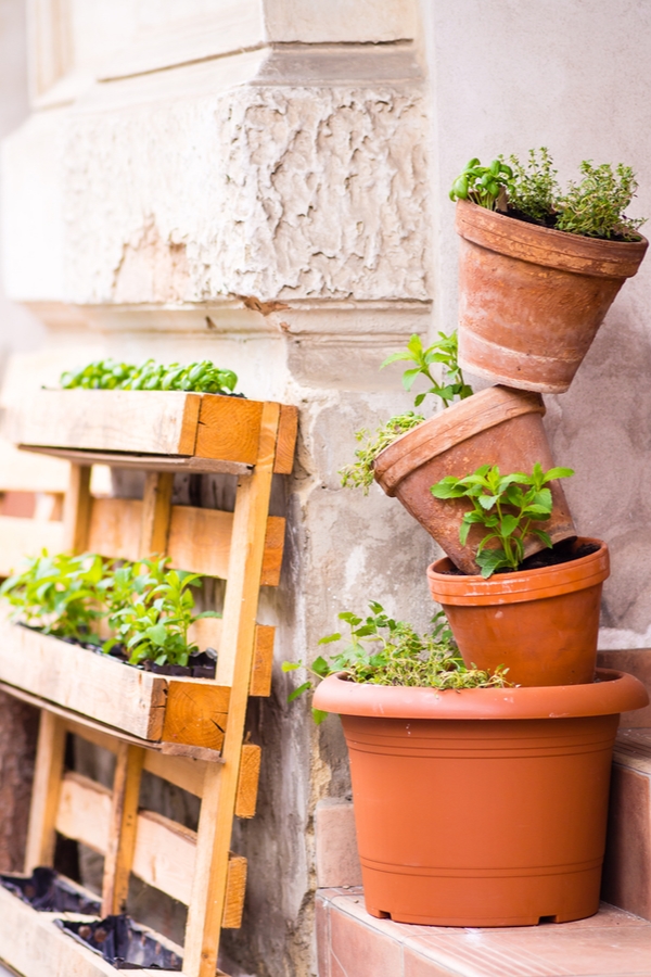 vertical gardening | gardening | garden | gardening ideas | garden ideas | small garden | small garden space | garden space 