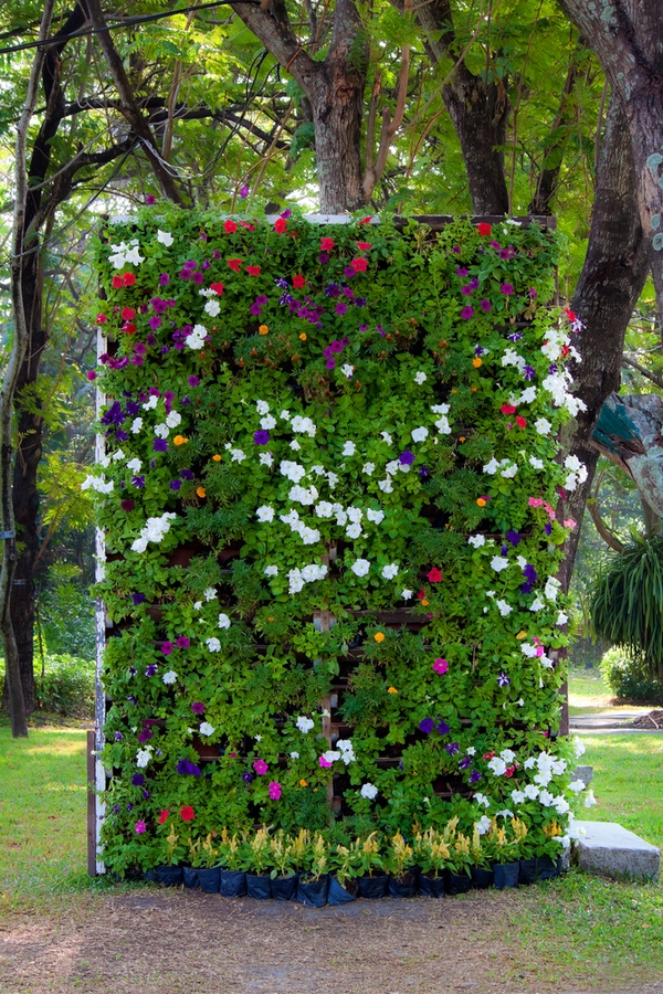 vertical gardening | gardening | garden | gardening ideas | garden ideas | small garden | small garden space | garden space 