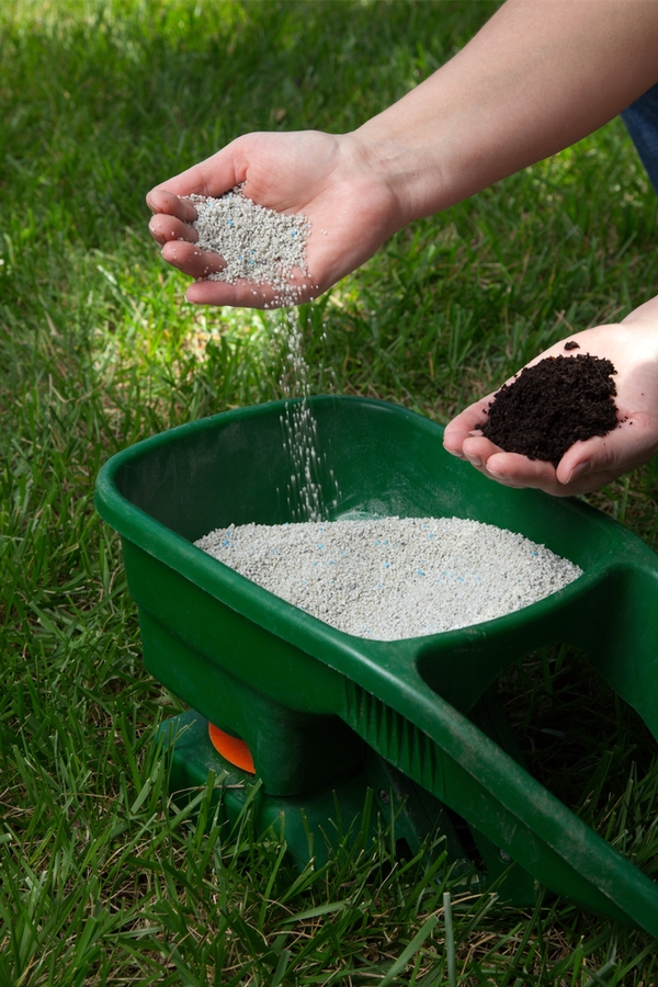 Go Green Tips To Green Up Your Lawn Bless My Weeds