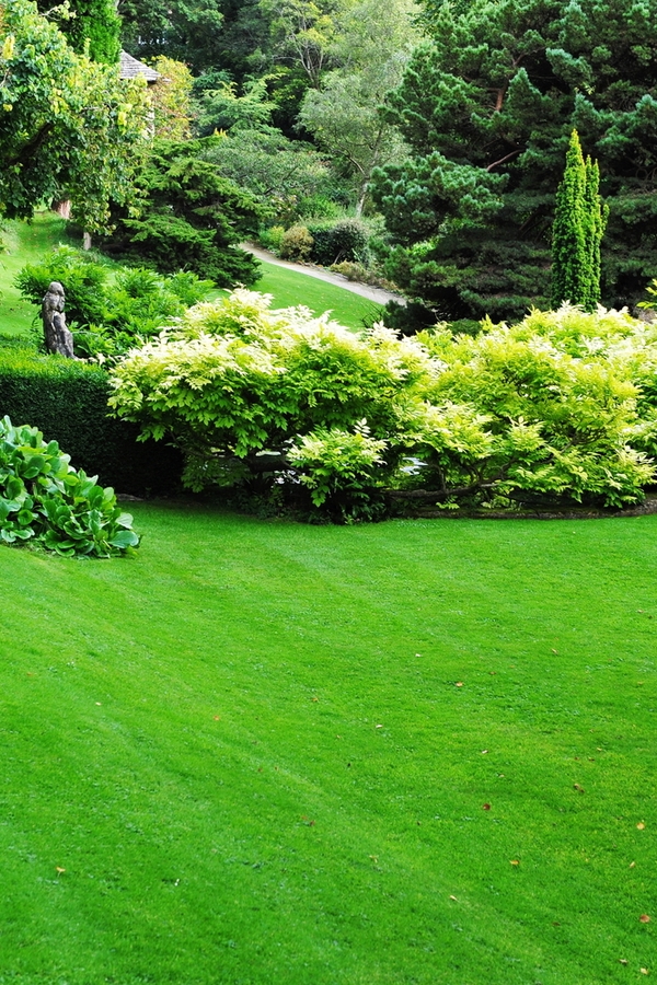 green up your lawn | ironite | lawn care tips | lawn | lawn care | green grass | green lawn | go green 