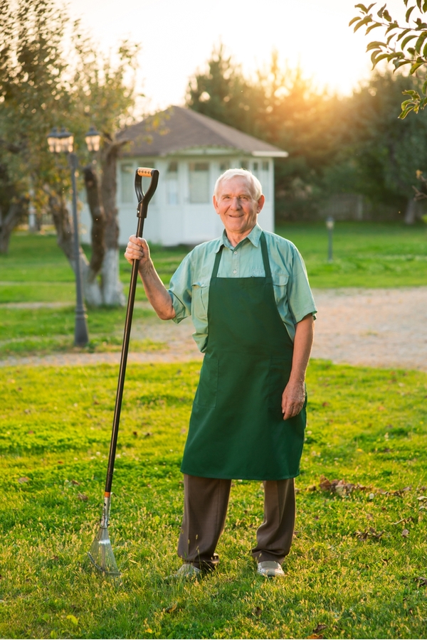 tips from a master gardener | gardening tips and tricks | master gardener tips | gardening | garden | gardener | gardening tips | gardening tricks | tips and tricks 