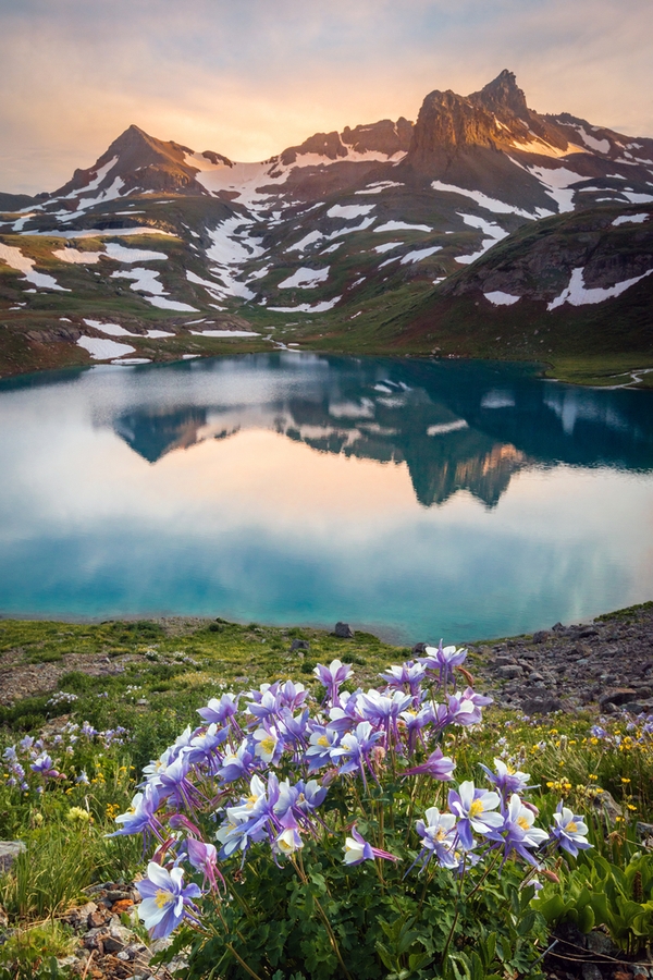 plants of the mountain west | indigenous inspiration | indigenous plants of the mountain west | mountain west | mountains | mountain west plants | plants | mountain plants 