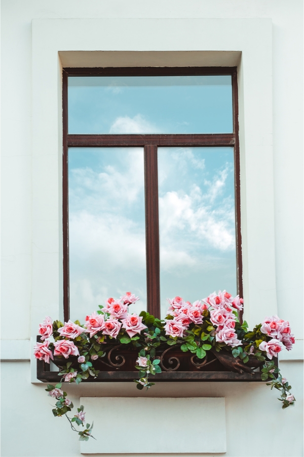 trailing plants for window boxes | flowers | window boxes | flowers for window boxes | hanging flowers | trialing plants | trailing flowers 