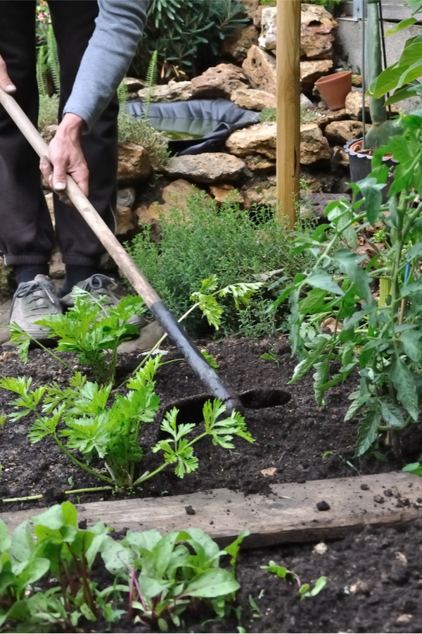gardening tips for allergy sufferers | tips and tricks | allergies | gardening | gardening with allergies | gardening tips | spring gardening | fall gardening | garden 