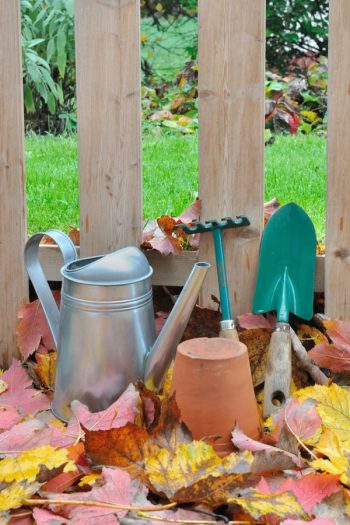 Fall Gardening Cheat Sheet | fall | fall gardening | gardening | tips and tricks | gardening tips 