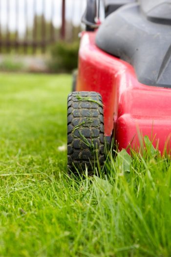 Lawn Mower Tips | how to sharpen a lawn mower blade | tips and tricks | lawn mower | healthy grass | yard tips and tricks 