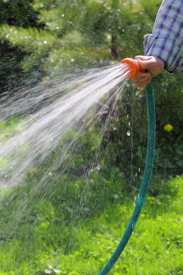 Best Time Of Day To Water The Lawn | lawn care | tips and tricks | gardening | gardening tips | lawn tips | lawn care tips 