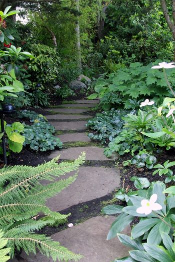 Shade Gardens | shade garden tips | tips and tricks | shade | gardens | garden ideas | gardening | gardening tips 