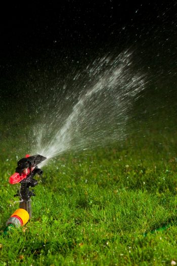 Best Time Of Day To Water The Lawn | lawn care | tips and tricks | gardening | gardening tips | lawn tips | lawn care tips 