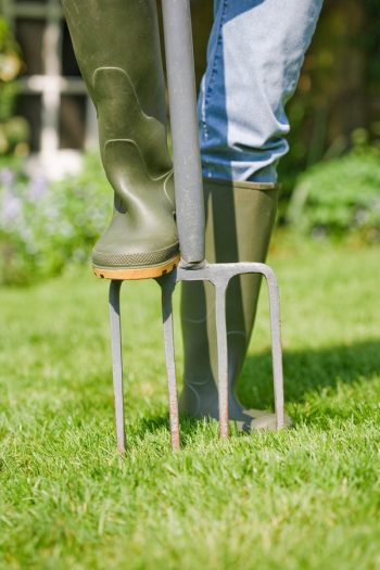 Fall Lawn Maintenance | aerate | power rake | fall | lawn | maintenance | lawn maintenance 