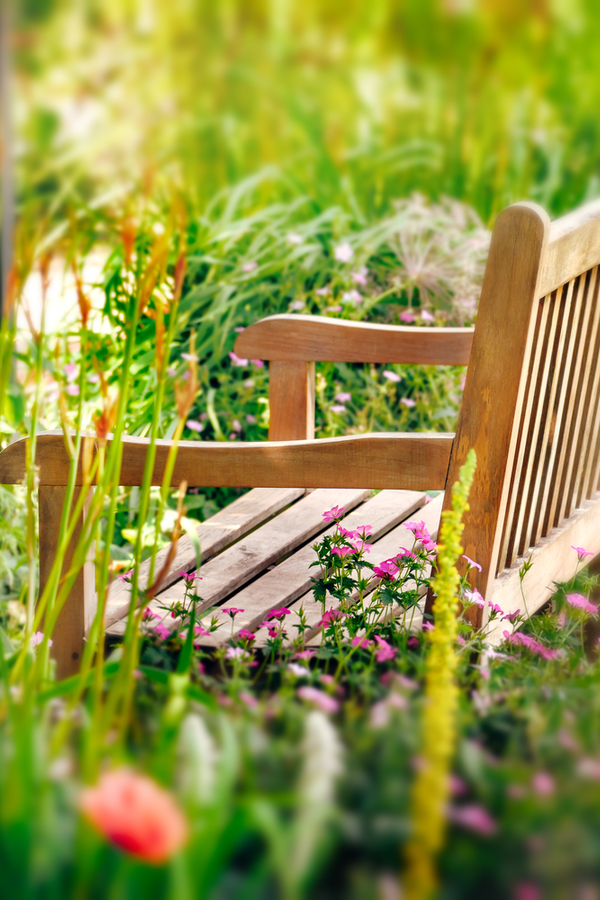 Wildflower Garden