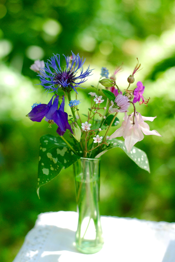 Cut Wildflowers