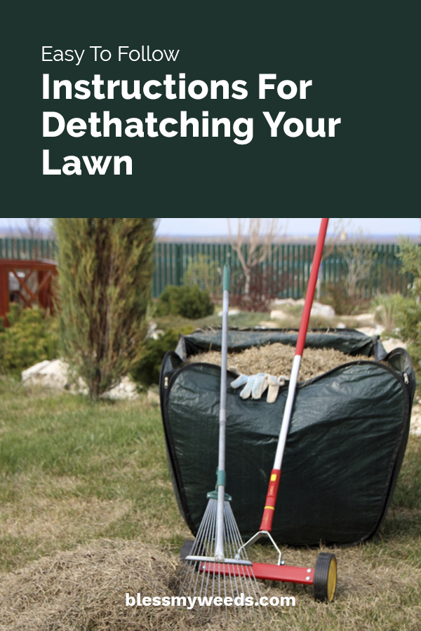 easy to follow instructions for dethatching your lawn 