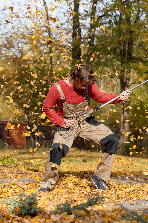 Leaf Raking How To Make It Fun Bless My Weeds