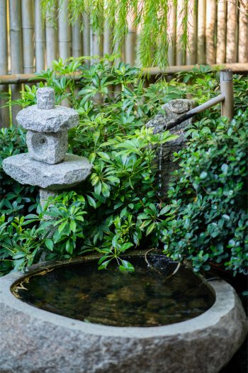 Water features are a big part of Japanese gardens. Here's everything you need to know about creating your own Japanese garden. 