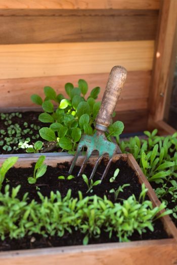 Have you ever heard of cold frame gardening? If you live in a cold climate, you'll want to know all about it. Learn how it can change the way you garden. 