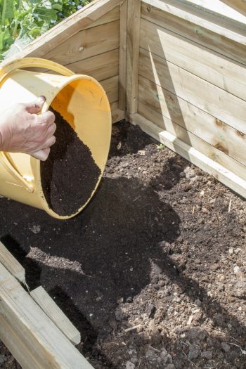 Do you know what cold frame gardening? It's something that every gardener can benefit from. Learn all about cold frame gardening and how to incorporate it into your garden. 