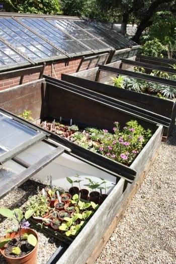 If you live in a colder climate, but you love gardening, you need to know about cold frame gardening. It will totally change the way you garden for the better. 