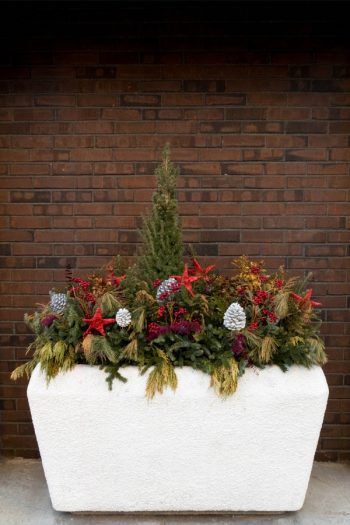 Just because it's winter doesn't mean your planters have no use! These Front Porch Winter Planters ideas will make your house look absolutely amazing! 